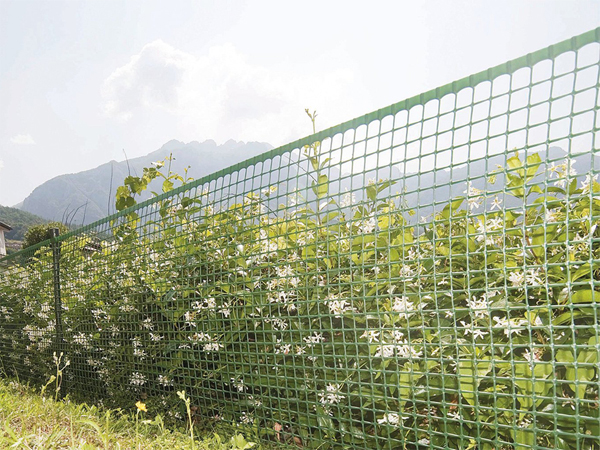 The importance of plastic mesh in gardening
