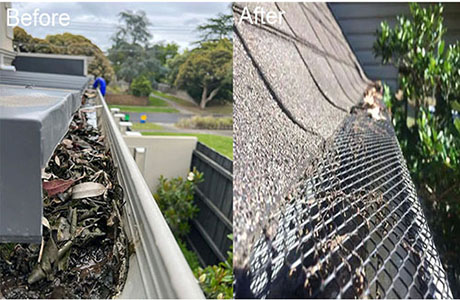 gutter mesh (1).jpg