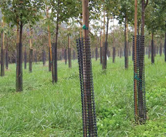 Plastic diamond mesh
