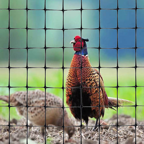 Where can we use plastic netting?cid=4 Where can we use plastic netting?cid=4