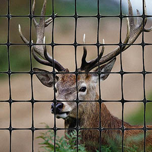 Where can we use plastic netting?cid=4 Where can we use plastic netting?cid=4