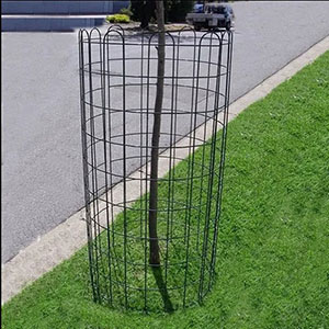metal tree guard mesh