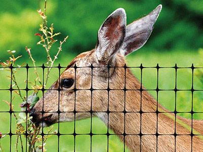 Plastic Deer Fence