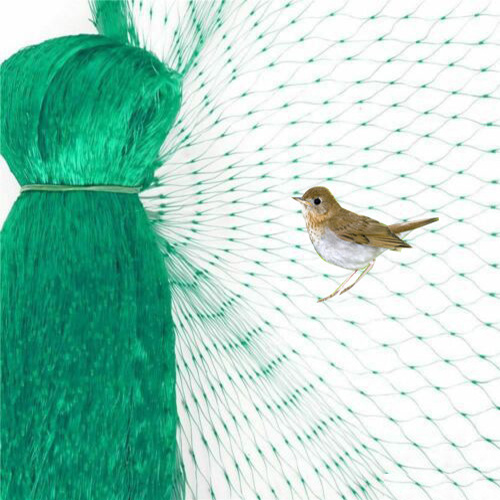 How to Avoid Bird Disasters?cid=4