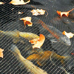 What are the Uses of Plastic Mesh?cid=4