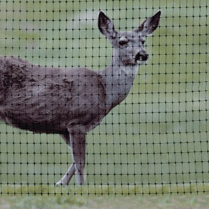 What are the Uses of Plastic Mesh?cid=4