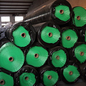Erosion control blanket netting