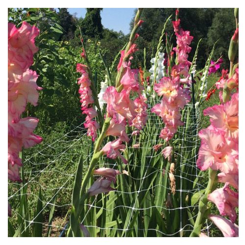 flower support mesh