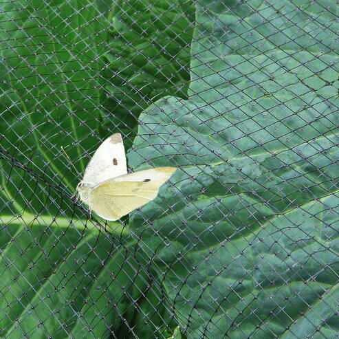 Anti butterfly garden mesh Netting