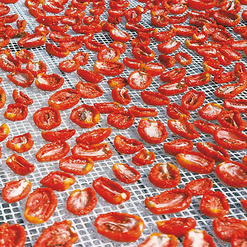 Food grade plastic Netting For Drying vegetables