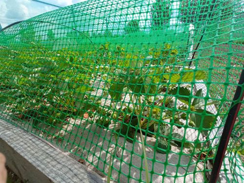 Green plastic garden fence is Beneficial for your garden