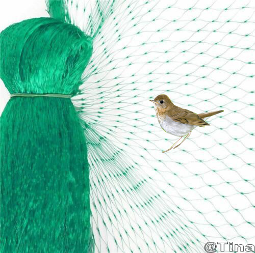 Plastic diamond bird netting rolls