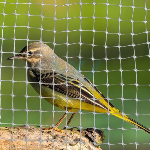 Transparent color bird netting