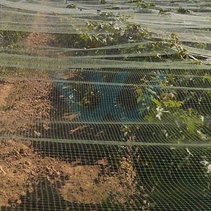 what is differences between Nylon bird net and polypropylene bird netting?