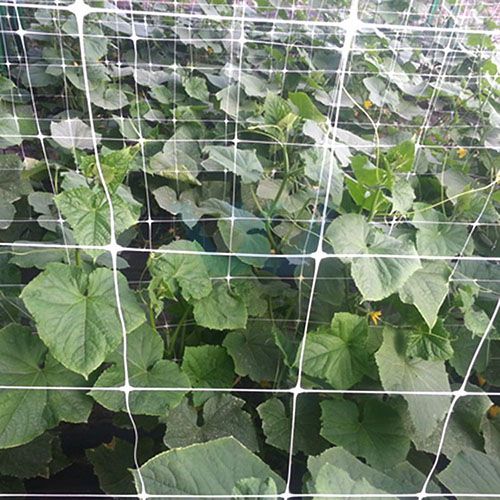 The Many Uses of Plastic Mesh