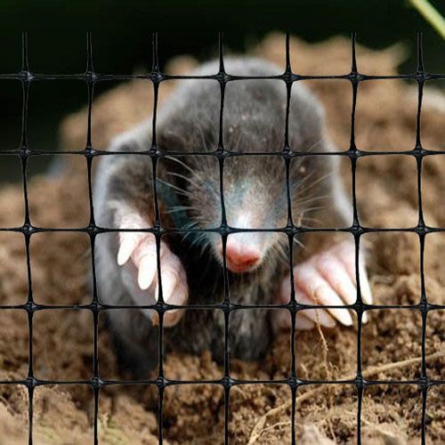 Mole Netting 30g 40g 45g