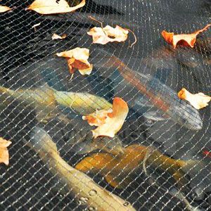 Anti bird netting