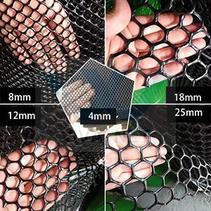 Chicken Diamond Plastic Flat Mesh
