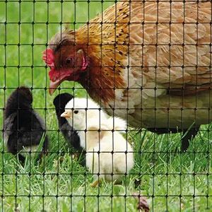 plastic chicken fence bop net