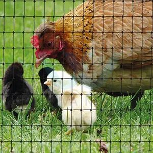 plastic netting (39).jpg