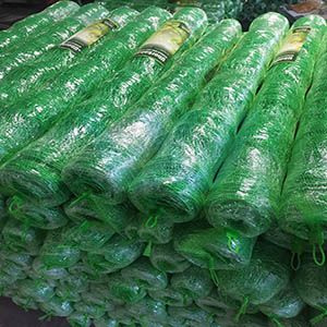 plastic netting (95).jpg