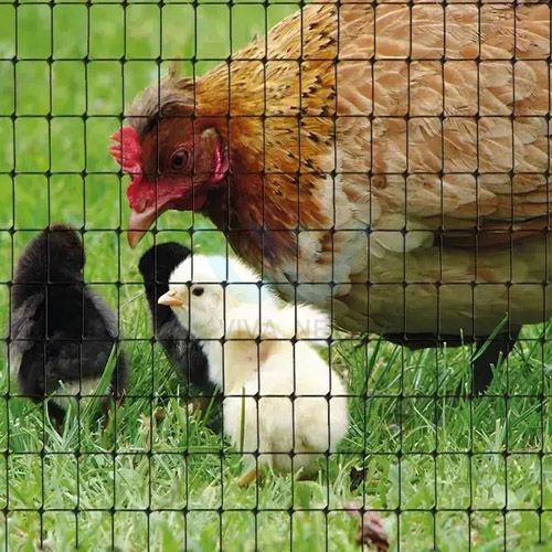 BOP Plastic Chicken Netting