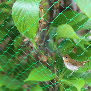 5m 6m wide Plastic diamond bird netting