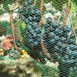 5m 6m wide Plastic diamond bird netting