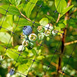 Extuded Plastic Bird Netting-small package