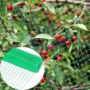 Orchid Plastic bird netting