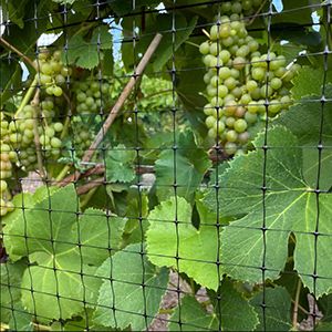 light weight Plastic Anti-bird netting