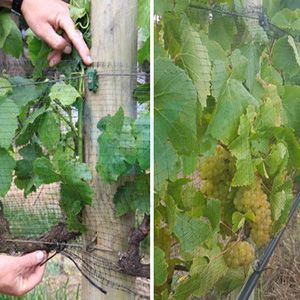 light weight Plastic Anti-bird netting