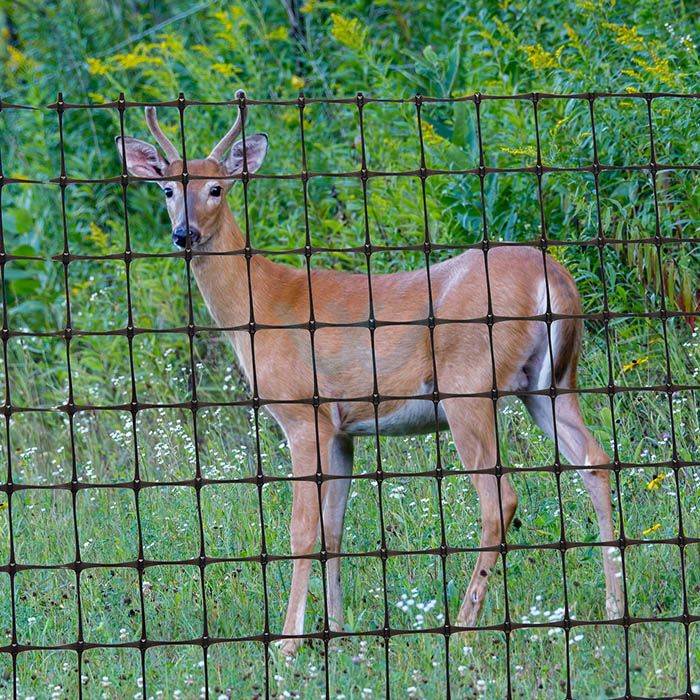 Black Deer Fence Netting Black Deer Fence Netting