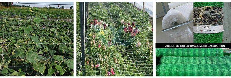 The importance of plastic mesh in gardening