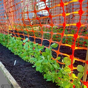 Orange safety net fence