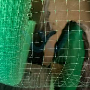 polypropylene erosion nets